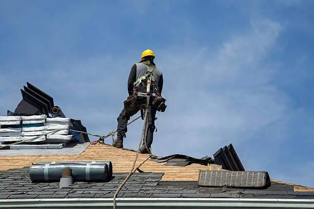 Professional Storm Damage Roof Repair technician working in Clermont, IN